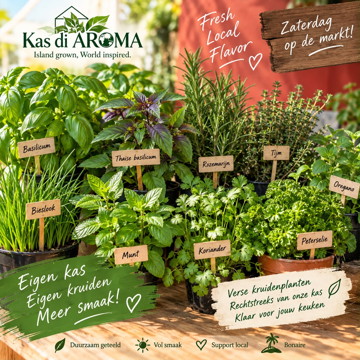 Collectie verse kruidenplanten van Kas di AROMA, waaronder basilicum, Thaise basilicum, rozemarijn, tijm, bieslook, munt, koriander en peterselie